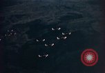 Image of A-26 Invader aircraft European Theater, 1945, second 30 stock footage video 65675073247