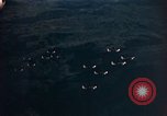 Image of A-26 Invader aircraft European Theater, 1945, second 33 stock footage video 65675073247