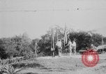 Immagine di Marina degli Stati Uniti camp Haiti West Indies, 1925, secondo 55 filmato di repertorio 65675073255