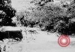Immagine di Stati Uniti Marines Haiti West Indies, 1925, secondo 6 filmato di repertorio 65675073256