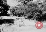 Immagine di Stati Uniti Marines Haiti West Indies, 1925, secondo 7 filmato di repertorio 65675073256