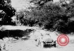 Immagine di Stati Uniti Marines Haiti West Indies, 1925, secondo 9 filmato di repertorio 65675073256
