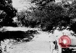 Immagine di Stati Uniti Marines Haiti West Indies, 1925, secondo 11 filmato di repertorio 65675073256