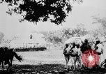Immagine di Stati Uniti Marines Haiti West Indies, 1925, secondo 37 filmato di repertorio 65675073256