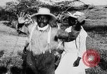 Immagine di Ad Haiti i civili Haiti West Indies, 1925, secondo 54 filmato di repertorio 65675073257