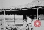 Immagine di Stati Uniti Marines Haiti West Indies, 1925, secondo 57 filmato di repertorio 65675073259