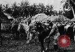 Image of United States Marines Haiti West Indies, 1924, second 20 stock footage video 65675073260