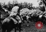 Image of United States Marines Haiti West Indies, 1924, second 23 stock footage video 65675073260