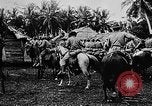 Image of United States Marines Haiti West Indies, 1924, second 25 stock footage video 65675073260