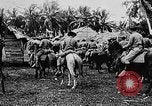 Image of United States Marines Haiti West Indies, 1924, second 27 stock footage video 65675073260