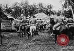 Image of United States Marines Haiti West Indies, 1924, second 28 stock footage video 65675073260