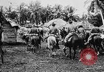 Image of United States Marines Haiti West Indies, 1924, second 29 stock footage video 65675073260