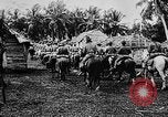 Image of United States Marines Haiti West Indies, 1924, second 31 stock footage video 65675073260