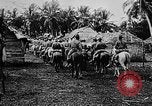 Image of United States Marines Haiti West Indies, 1924, second 32 stock footage video 65675073260