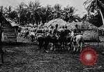 Image of United States Marines Haiti West Indies, 1924, second 33 stock footage video 65675073260