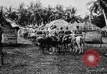 Image of United States Marines Haiti West Indies, 1924, second 34 stock footage video 65675073260