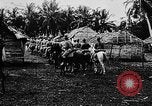 Image of United States Marines Haiti West Indies, 1924, second 35 stock footage video 65675073260