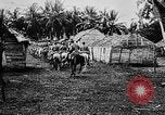 Image of United States Marines Haiti West Indies, 1924, second 38 stock footage video 65675073260