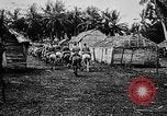 Image of United States Marines Haiti West Indies, 1924, second 39 stock footage video 65675073260