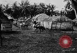 Image of United States Marines Haiti West Indies, 1924, second 40 stock footage video 65675073260