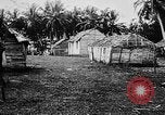 Image of United States Marines Haiti West Indies, 1924, second 49 stock footage video 65675073260