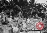 Image of United States Marines Haiti West Indies, 1924, second 40 stock footage video 65675073264