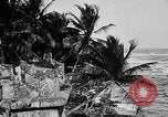 Image of United States Marines Haiti West Indies, 1924, second 48 stock footage video 65675073264