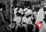 Image of Haitian civilians Haiti West Indies, 1924, second 54 stock footage video 65675073267