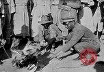Image of gamecock fight Haiti West Indies, 1924, second 35 stock footage video 65675073268