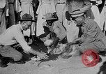 Image of gamecock fight Haiti West Indies, 1924, second 40 stock footage video 65675073268