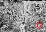 Image of United States Marines Haiti West Indies, 1924, second 1 stock footage video 65675073269
