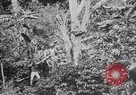 Image of United States Marines Haiti West Indies, 1924, second 5 stock footage video 65675073269
