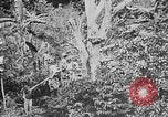 Image of United States Marines Haiti West Indies, 1924, second 6 stock footage video 65675073269