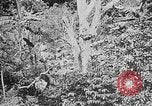 Image of United States Marines Haiti West Indies, 1924, second 7 stock footage video 65675073269