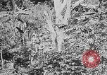 Image of United States Marines Haiti West Indies, 1924, second 8 stock footage video 65675073269