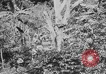 Image of United States Marines Haiti West Indies, 1924, second 9 stock footage video 65675073269