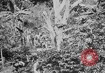 Image of United States Marines Haiti West Indies, 1924, second 10 stock footage video 65675073269