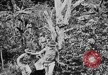 Image of United States Marines Haiti West Indies, 1924, second 11 stock footage video 65675073269