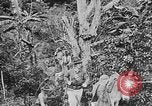 Image of United States Marines Haiti West Indies, 1924, second 16 stock footage video 65675073269