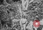 Image of United States Marines Haiti West Indies, 1924, second 19 stock footage video 65675073269