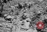 Image of United States Marines Haiti West Indies, 1924, second 30 stock footage video 65675073269