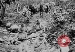 Image of United States Marines Haiti West Indies, 1924, second 31 stock footage video 65675073269