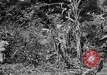 Image of United States Marines Haiti West Indies, 1924, second 45 stock footage video 65675073269