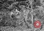 Image of United States Marines Haiti West Indies, 1924, second 47 stock footage video 65675073269