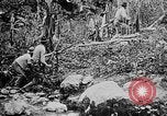 Image of United States Marines Haiti West Indies, 1924, second 51 stock footage video 65675073269