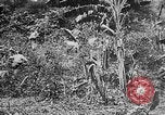 Image of United States Marines Haiti West Indies, 1924, second 52 stock footage video 65675073269