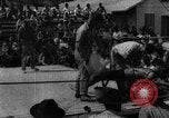 Image match de boxe Haïti West Indies, 1925, de la seconde 46 séquences d'archives historiques vidéo 65675073273