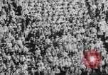 Image of football match United States USA, 1967, second 23 stock footage video 65675073292