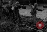 Image of Vietcong captured by Marines Vietnam, 1967, second 25 stock footage video 65675073301