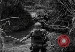 Image of Vietcong captured by Marines Vietnam, 1967, second 29 stock footage video 65675073301